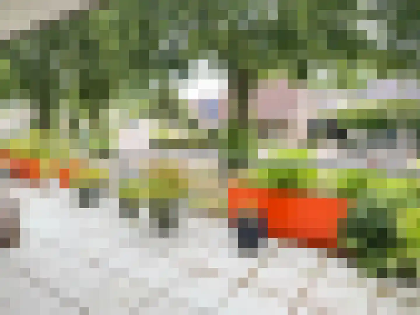 Teldershof 70 Oosterhout thumbnail 41