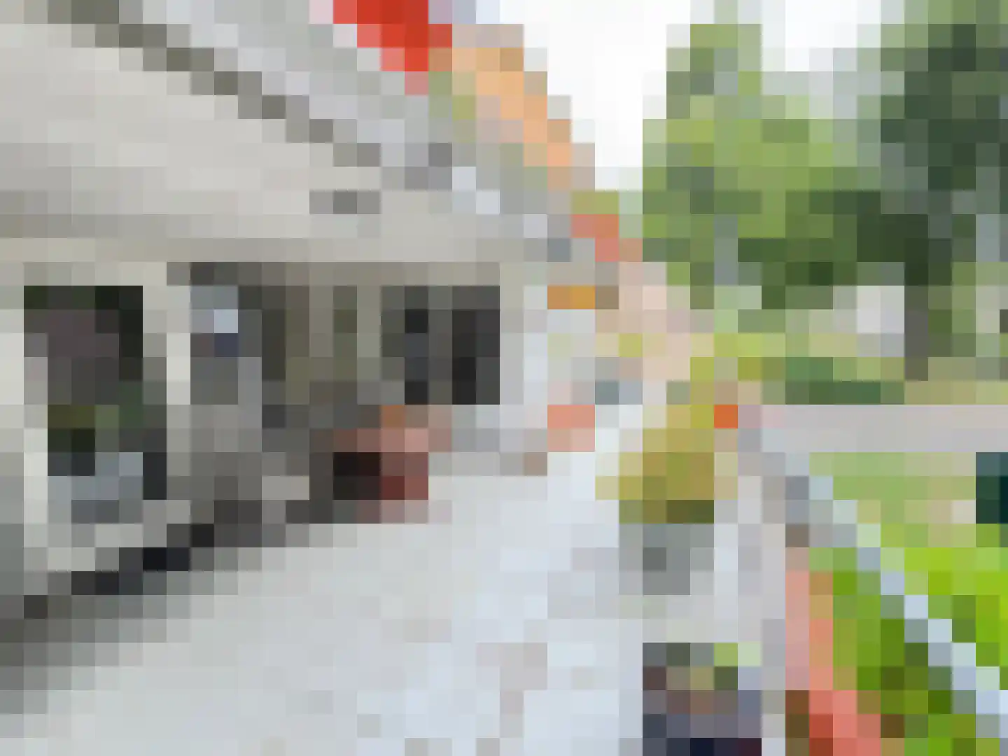 Teldershof 70 Oosterhout thumbnail 42