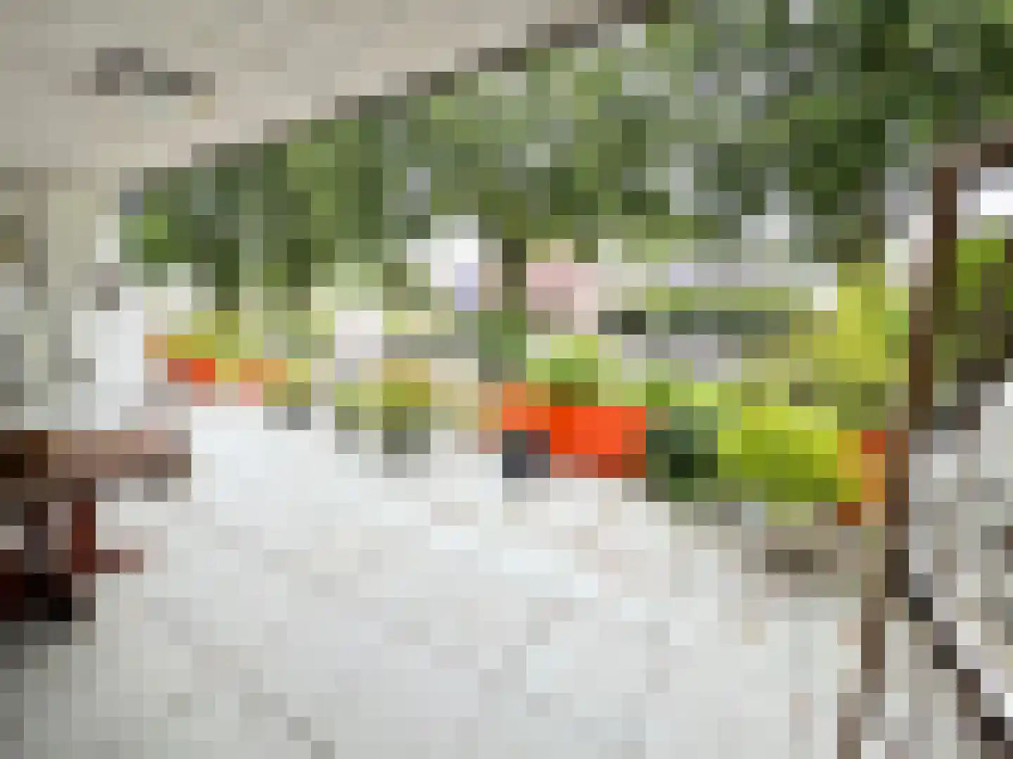 Teldershof 70 Oosterhout thumbnail 43