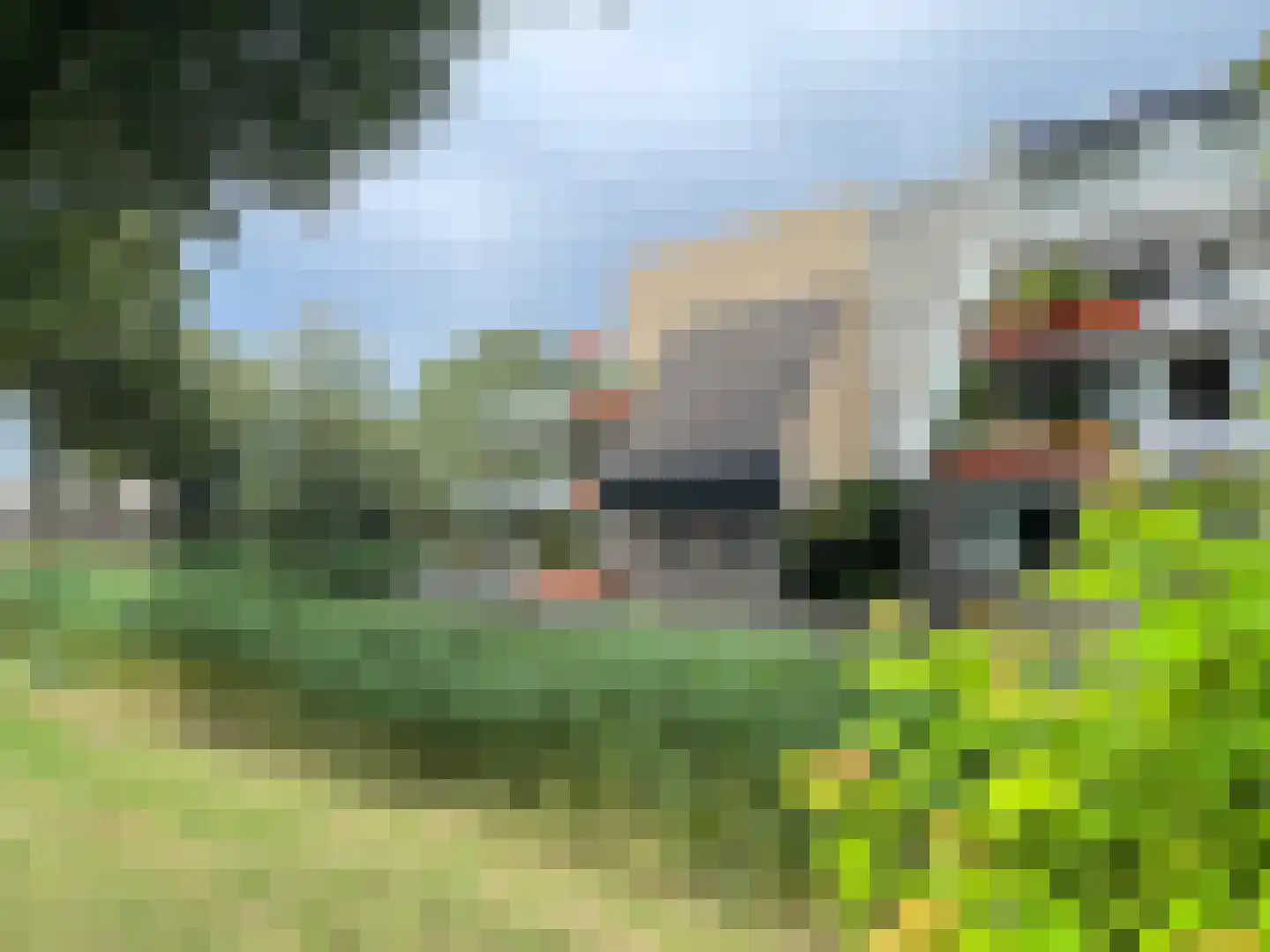 Teldershof 70 Oosterhout thumbnail 44