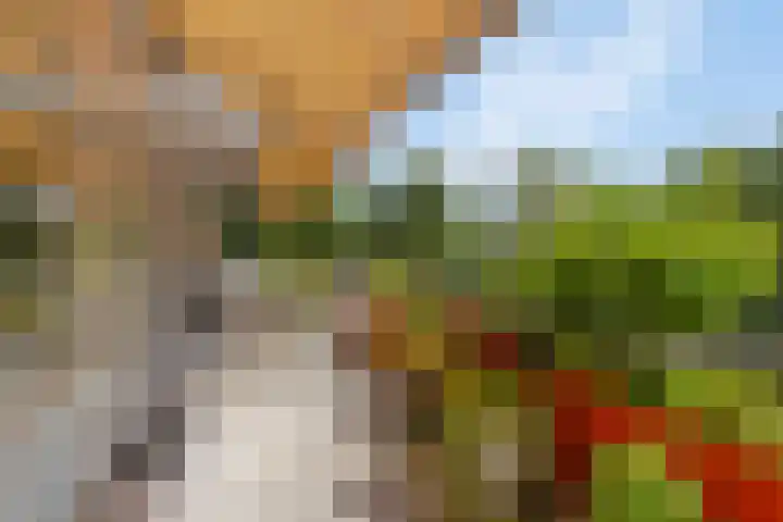 Teldershof 74 Oosterhout thumbnail 20