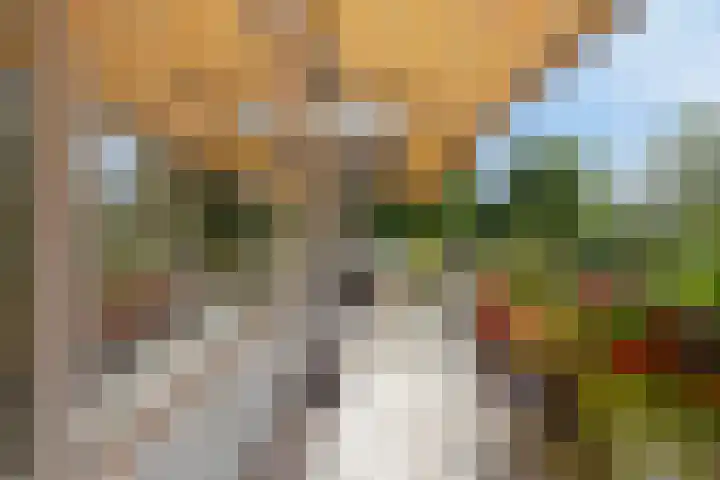 Teldershof 74 Oosterhout thumbnail 21