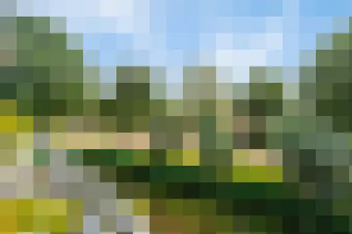 Teldershof 74 Oosterhout thumbnail 24