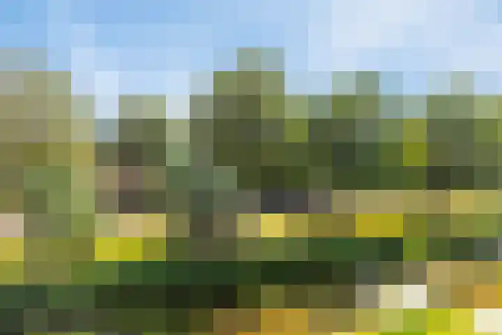 Teldershof 74 Oosterhout thumbnail 25