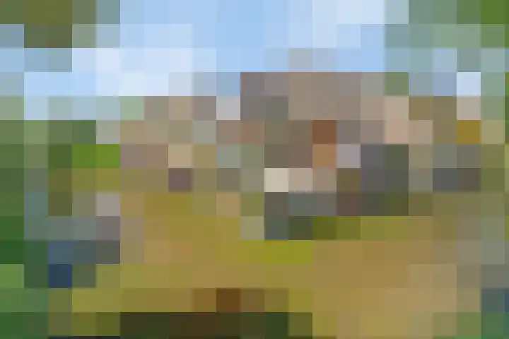 Teldershof 74 Oosterhout thumbnail 27