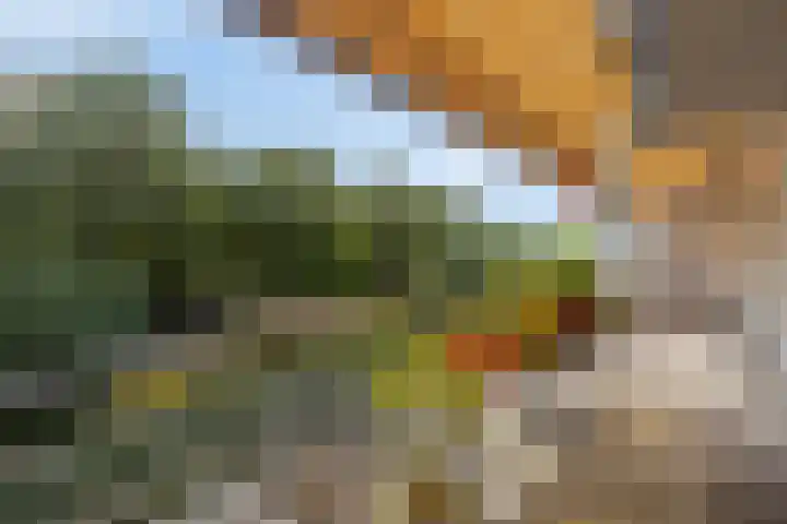 Teldershof 74 Oosterhout thumbnail 4