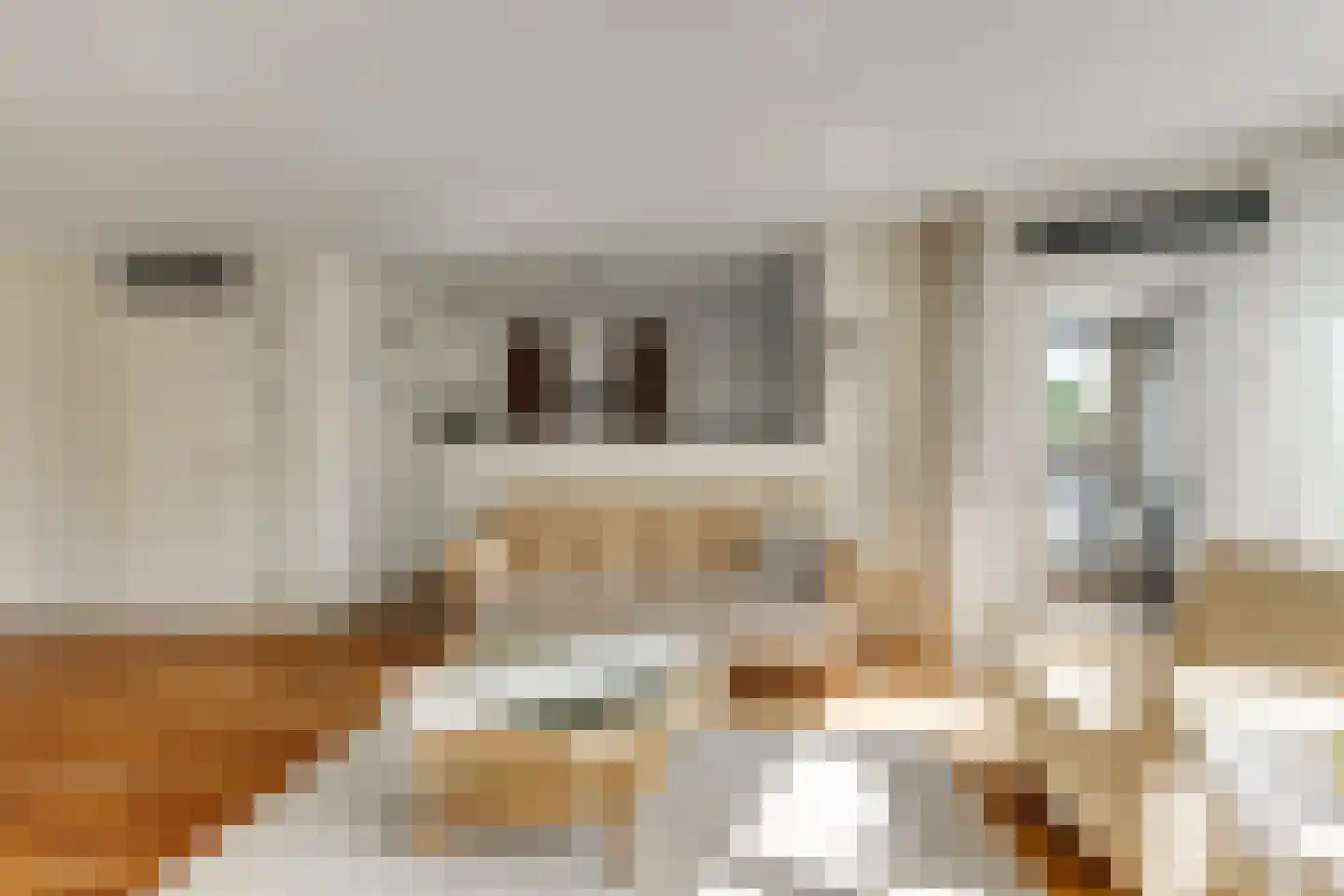 Telderskade 17 Leiden thumbnail 10