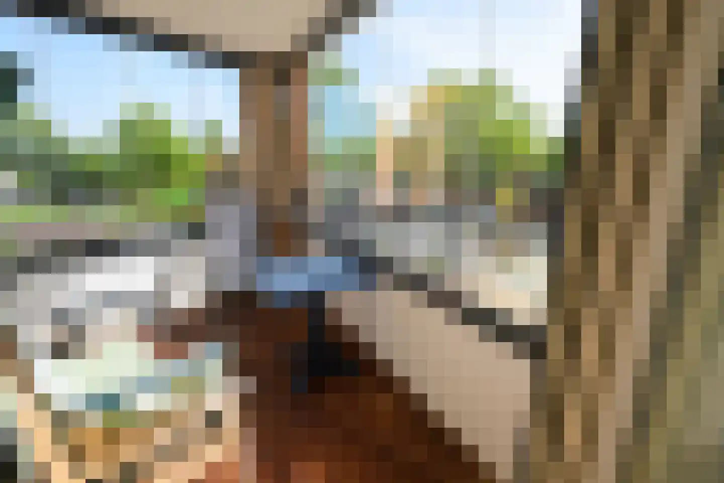 Telderskade 17 Leiden thumbnail 16