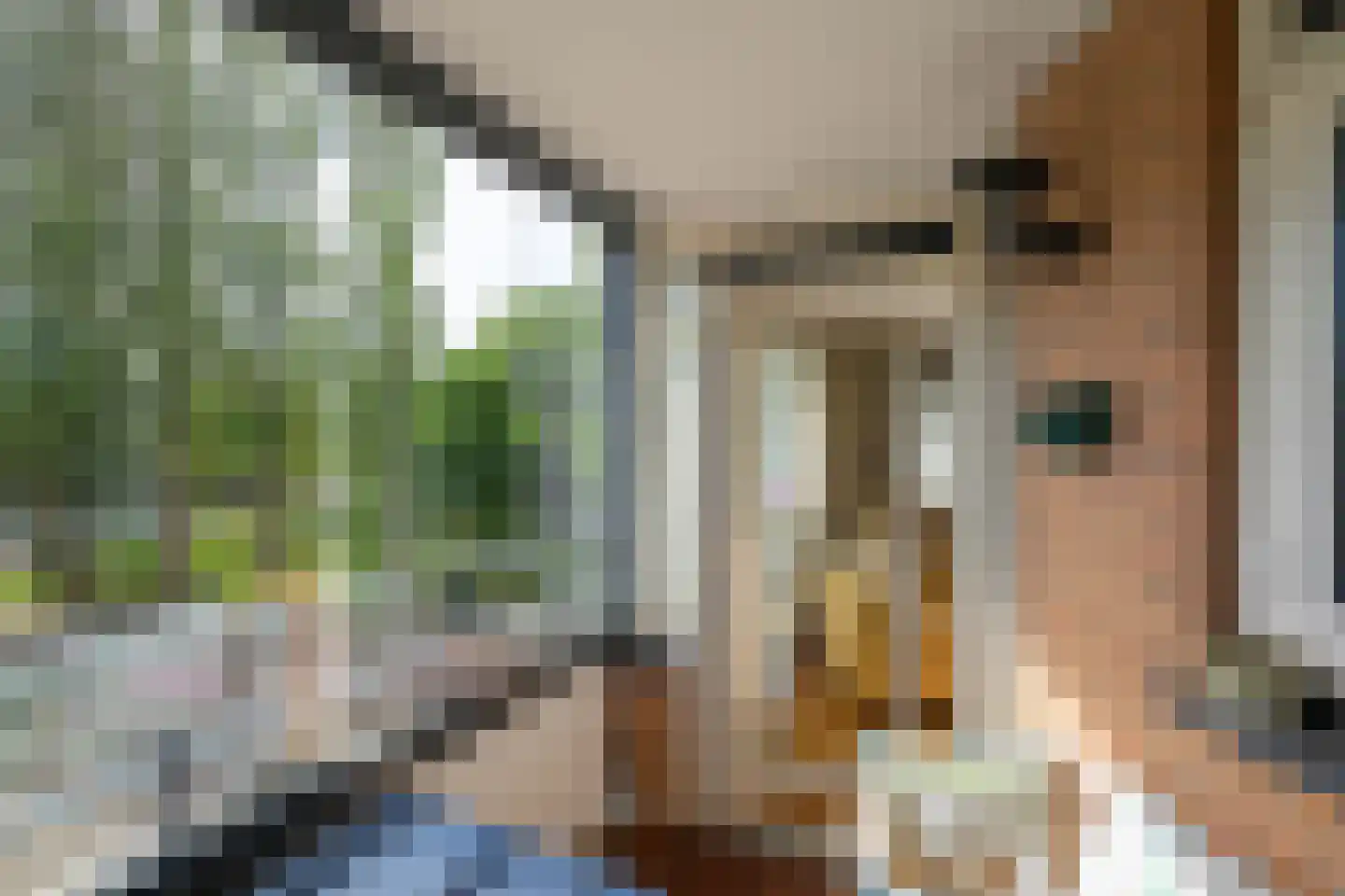 Telderskade 17 Leiden thumbnail 18