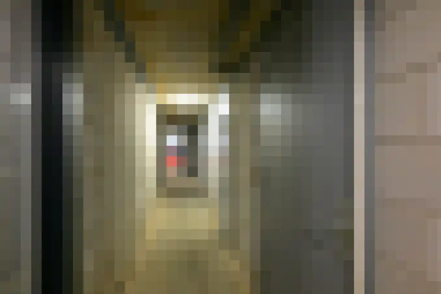 Telderskade 17 Leiden thumbnail 25