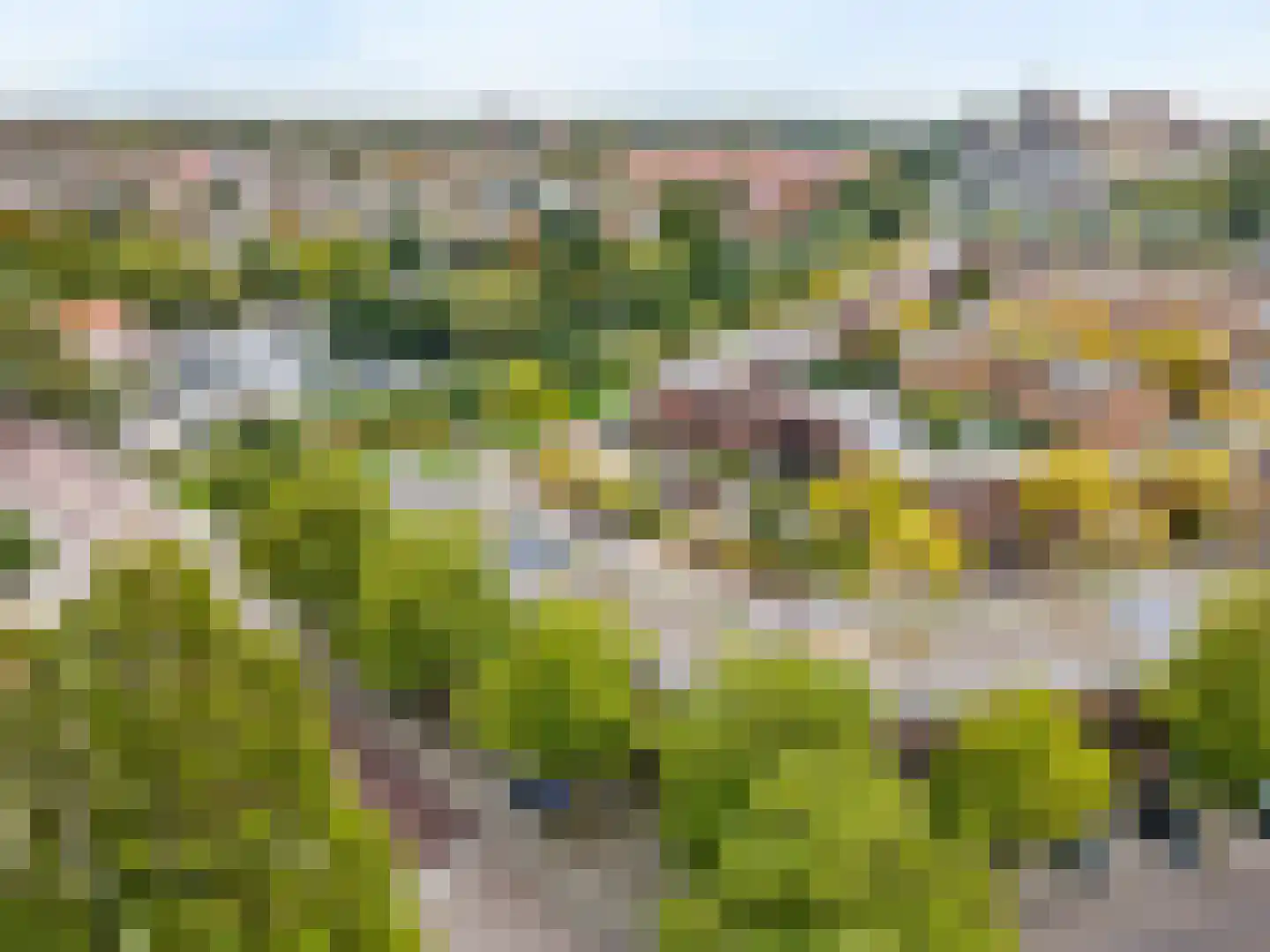 Telderskade 2 D Leiden thumbnail 45