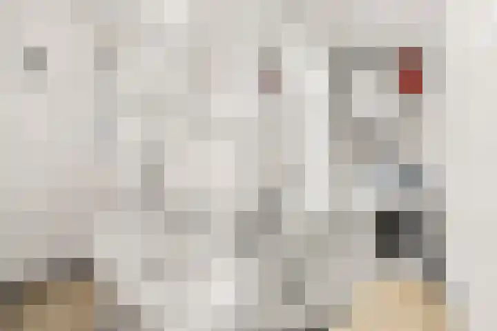 Telderslaan 11 Utrecht thumbnail 22
