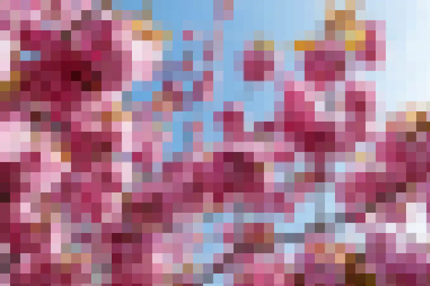 Telderslaan 20 Utrecht thumbnail 26