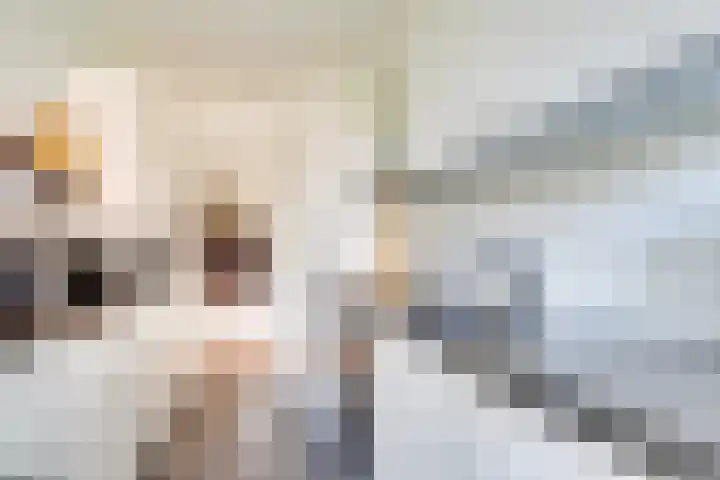 Telderslaan 37 Utrecht thumbnail 20