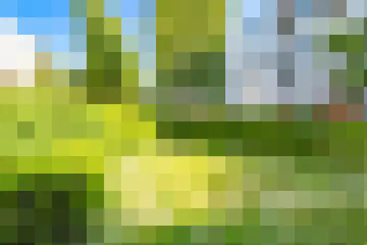 Telderslaan 37 Utrecht thumbnail 29