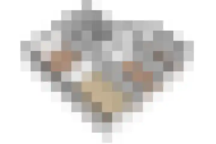 Telderslaan 37 Utrecht thumbnail 31