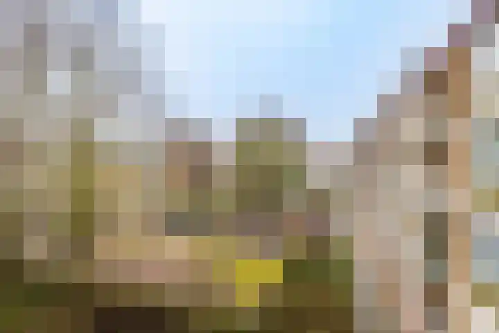 Telderslaan 63 Utrecht thumbnail 21