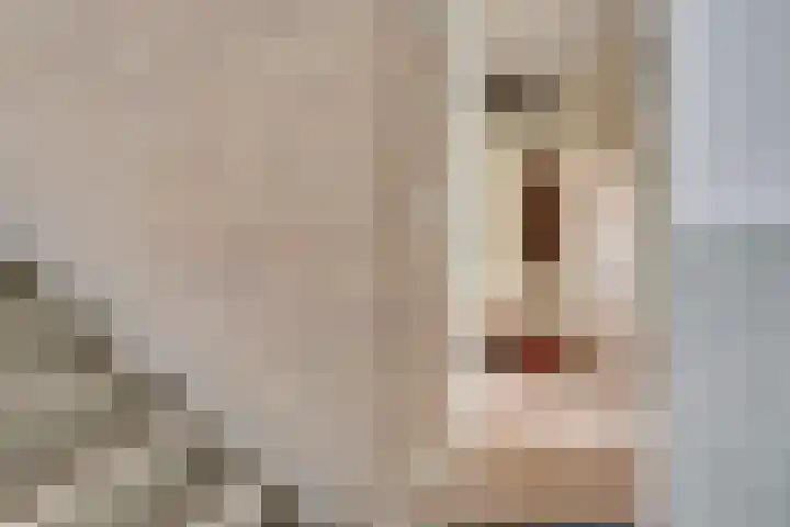 Telderslaan 63 Utrecht thumbnail 34