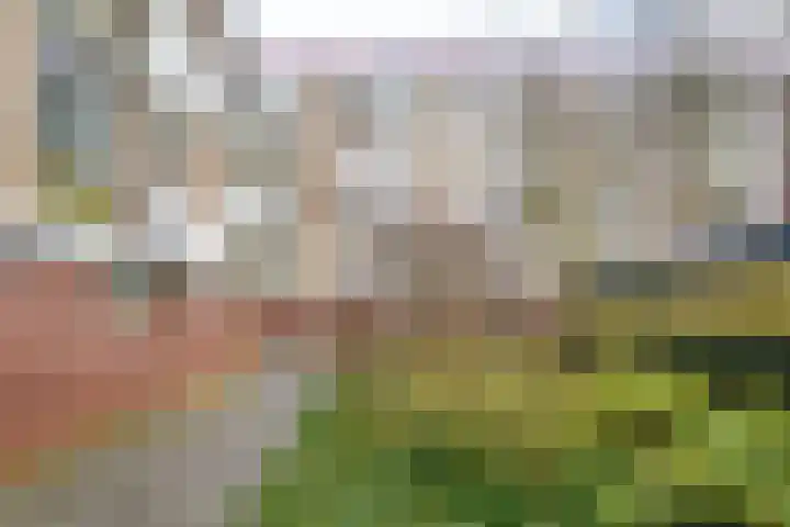 Telderslaan 63 Utrecht thumbnail 37