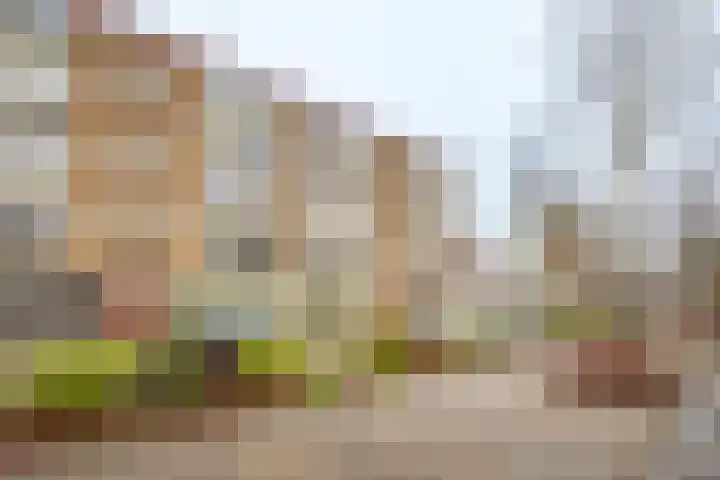 Telderslaan 63 Utrecht thumbnail 39