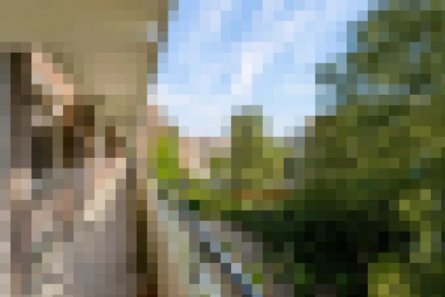 Telderslaan 72 Utrecht thumbnail 26