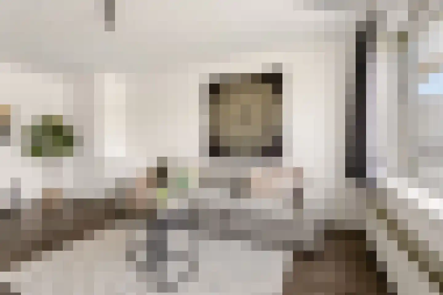 Telderslaan 72 Utrecht thumbnail 9