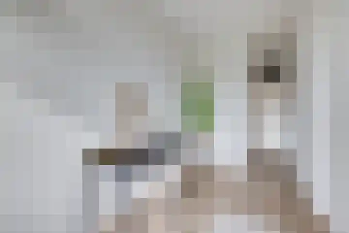 Telderslaan 80 Utrecht thumbnail 21