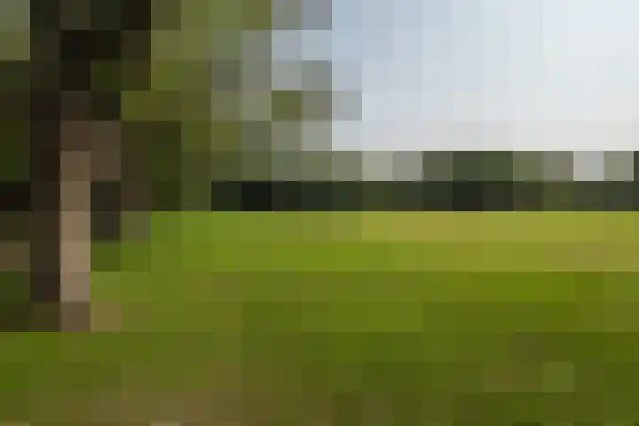 Telderslaan 80 Utrecht thumbnail 30
