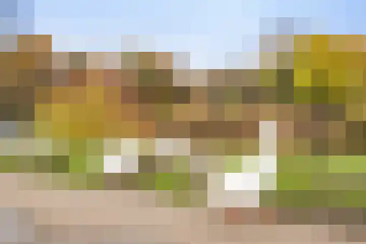Telderslaan 80 Utrecht thumbnail 31