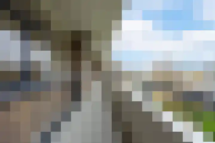 Telderslaan 88 Utrecht thumbnail 34