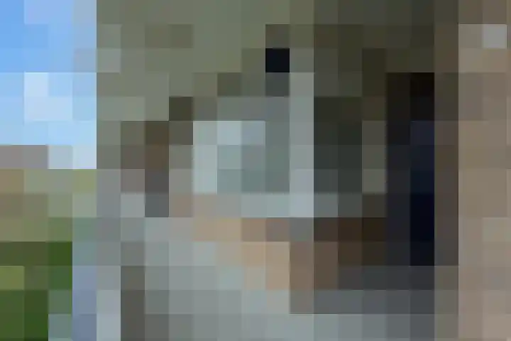 Telderslaan 88 Utrecht thumbnail 8