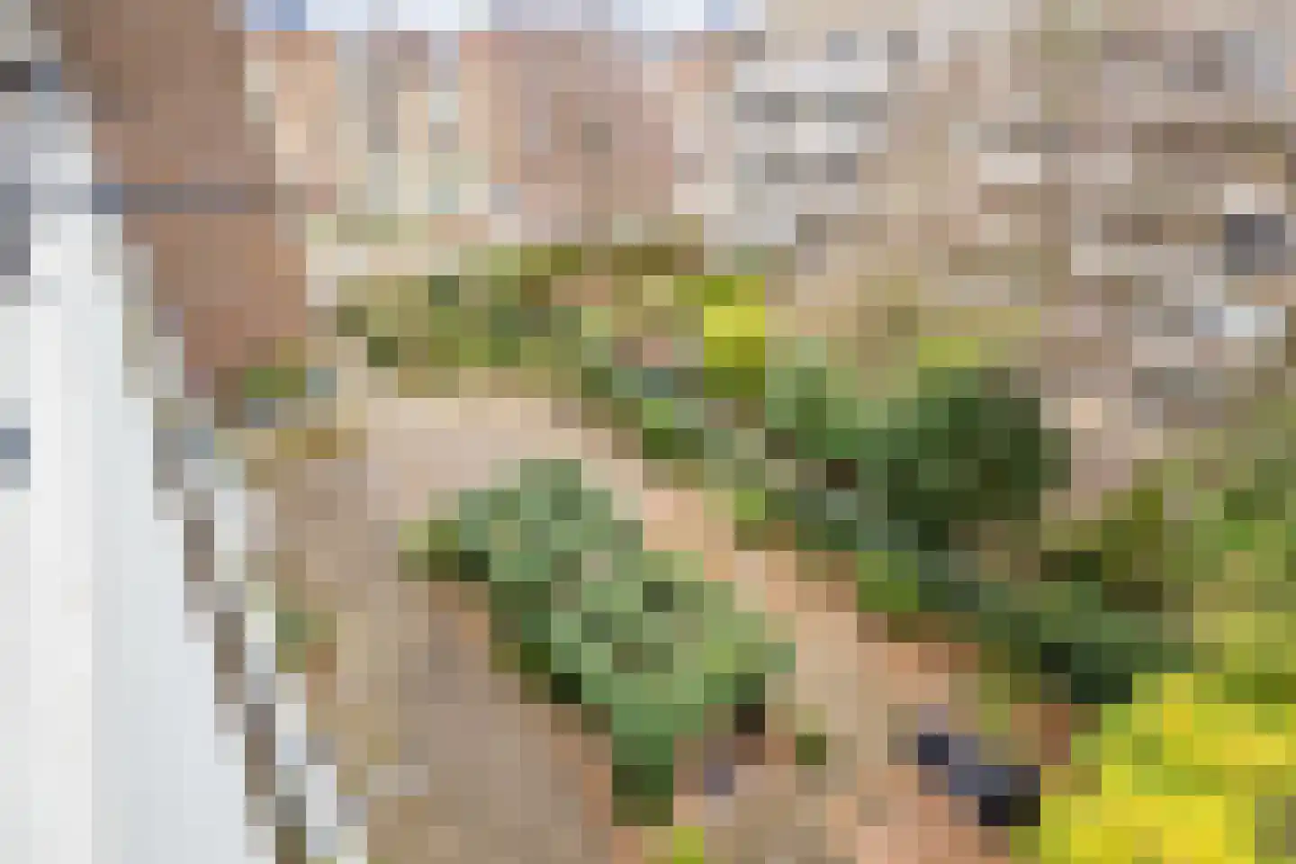 Telderslaan 92 Utrecht thumbnail 34
