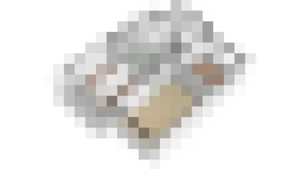 Telderslaan 92 Utrecht thumbnail 43