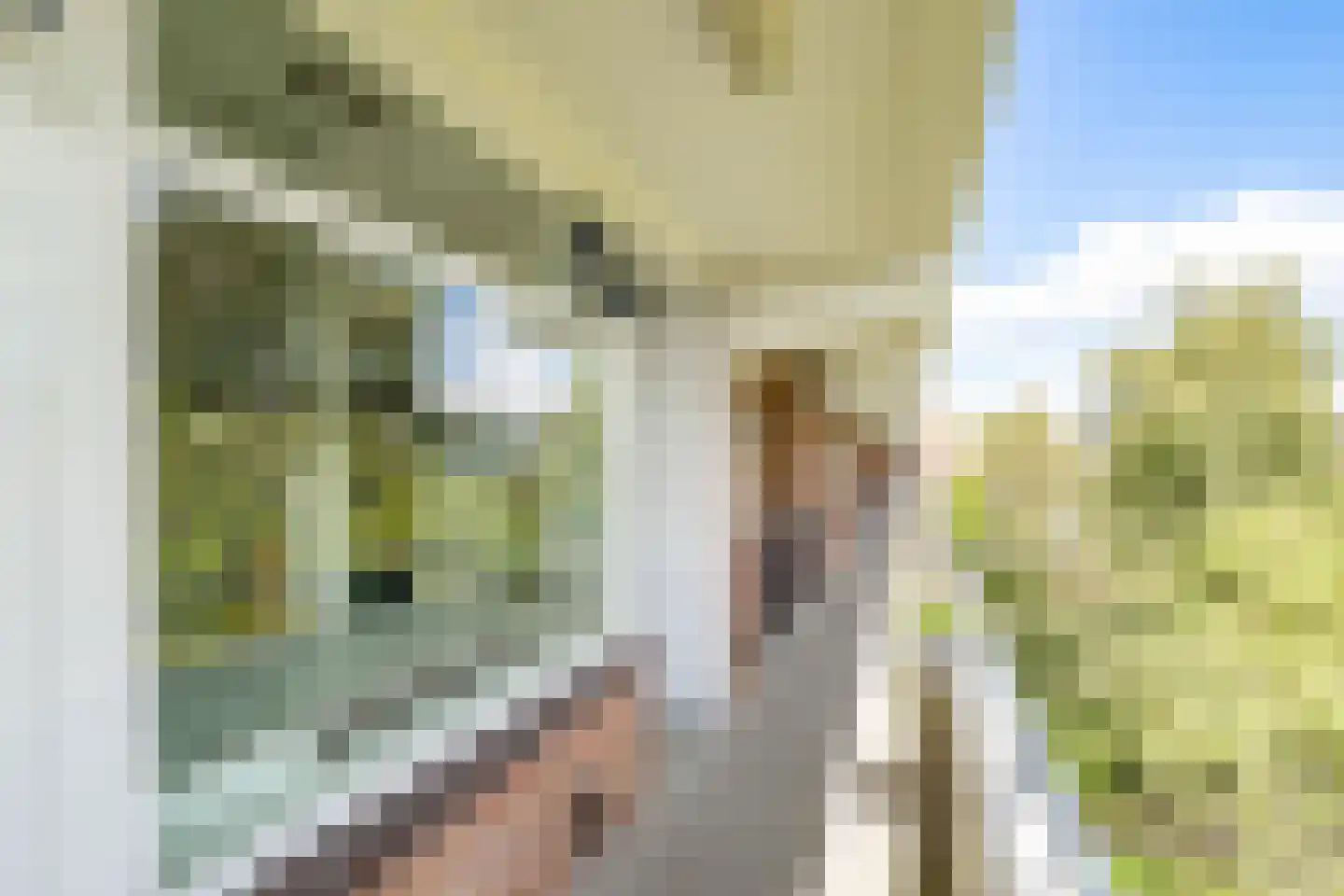 Telderslaan 98 Utrecht thumbnail 41