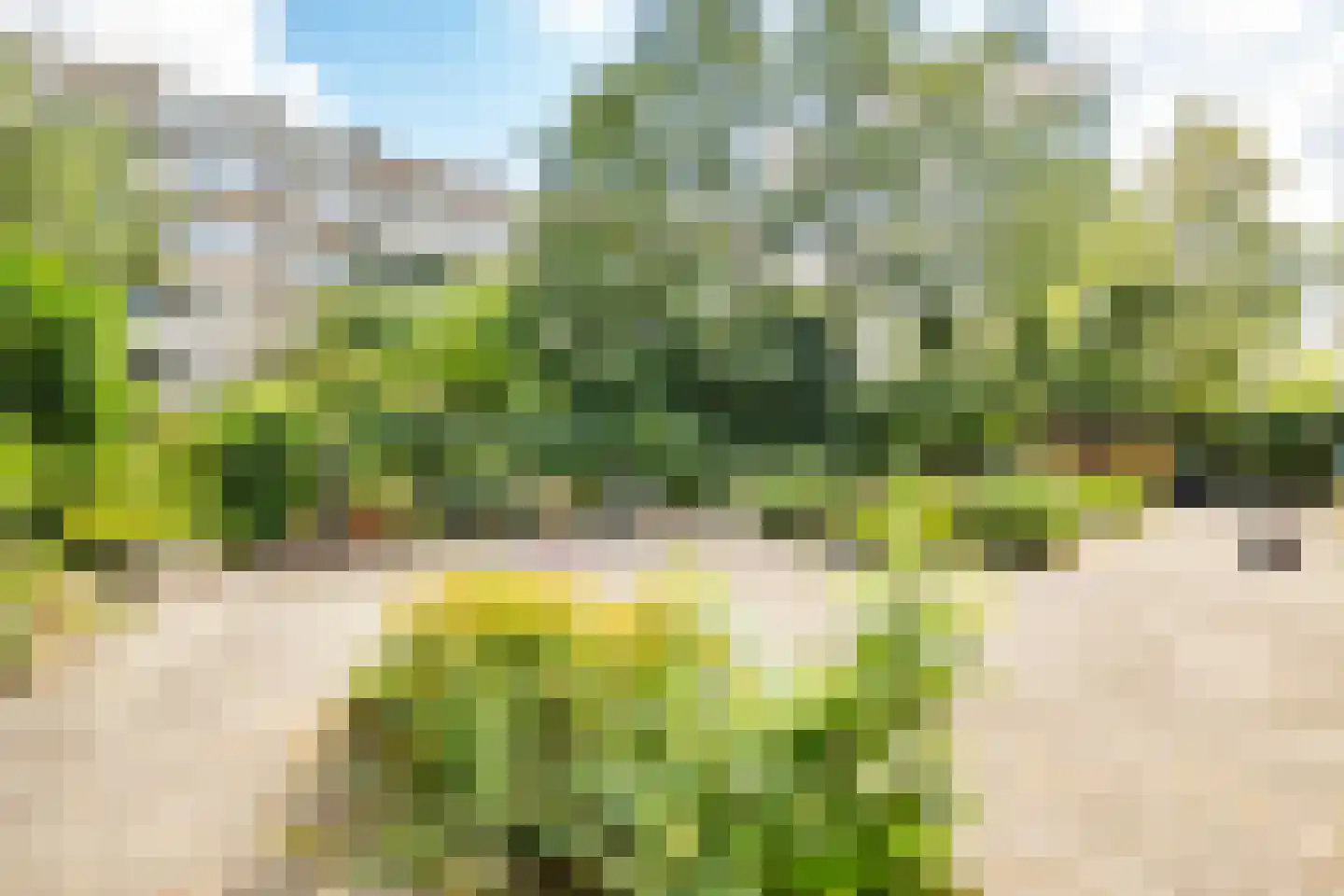 Telderslaan 98 Utrecht thumbnail 42