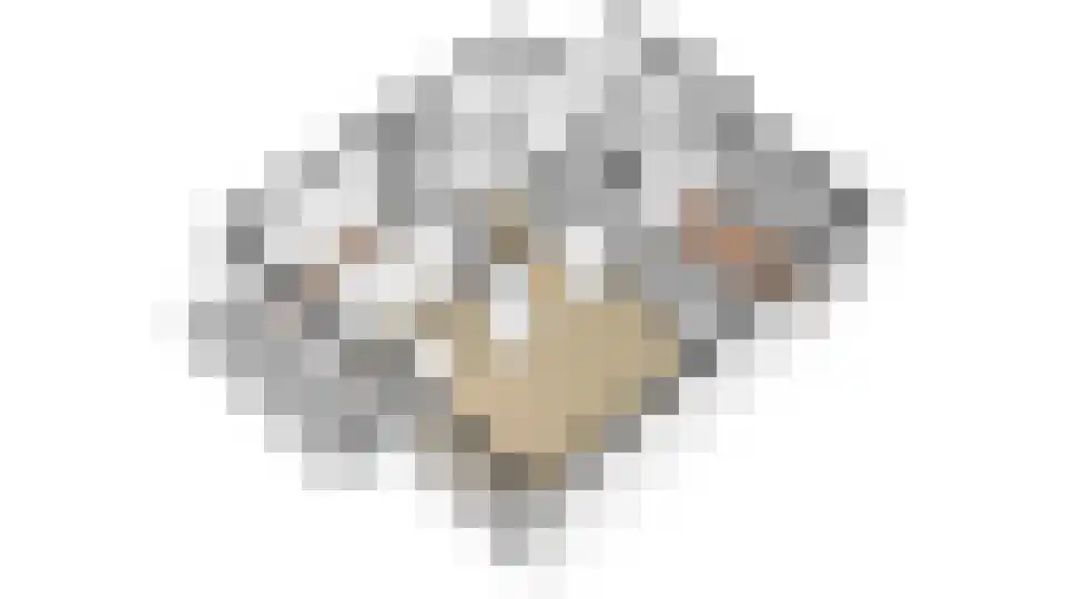 Telderslaan 98 Utrecht thumbnail 51