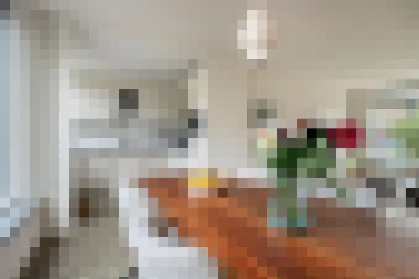 Teldersstraat 25 Kampen thumbnail 15