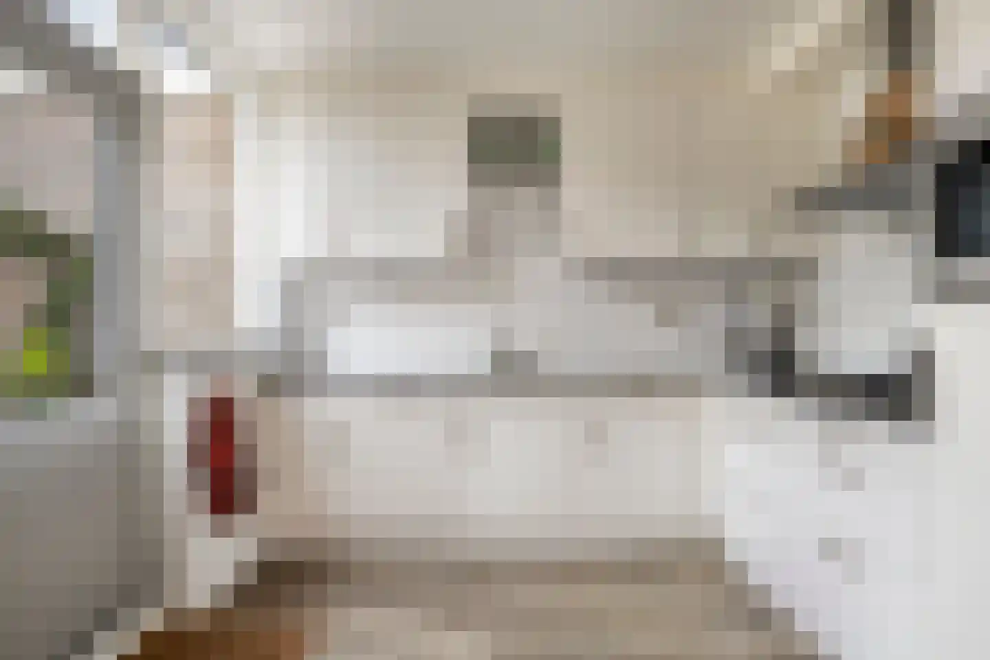 Teldersstraat 25 Kampen thumbnail 16