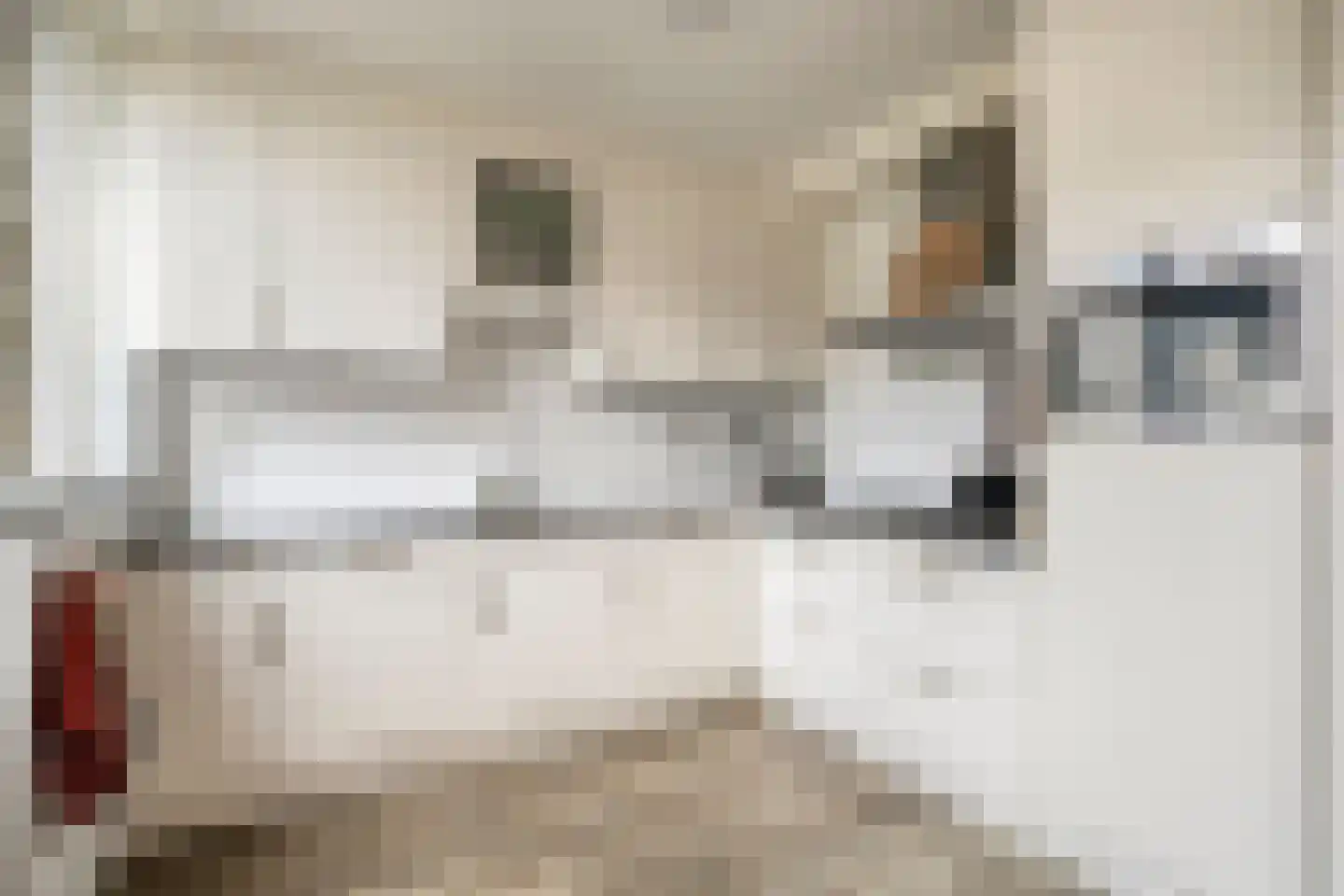 Teldersstraat 25 Kampen thumbnail 17