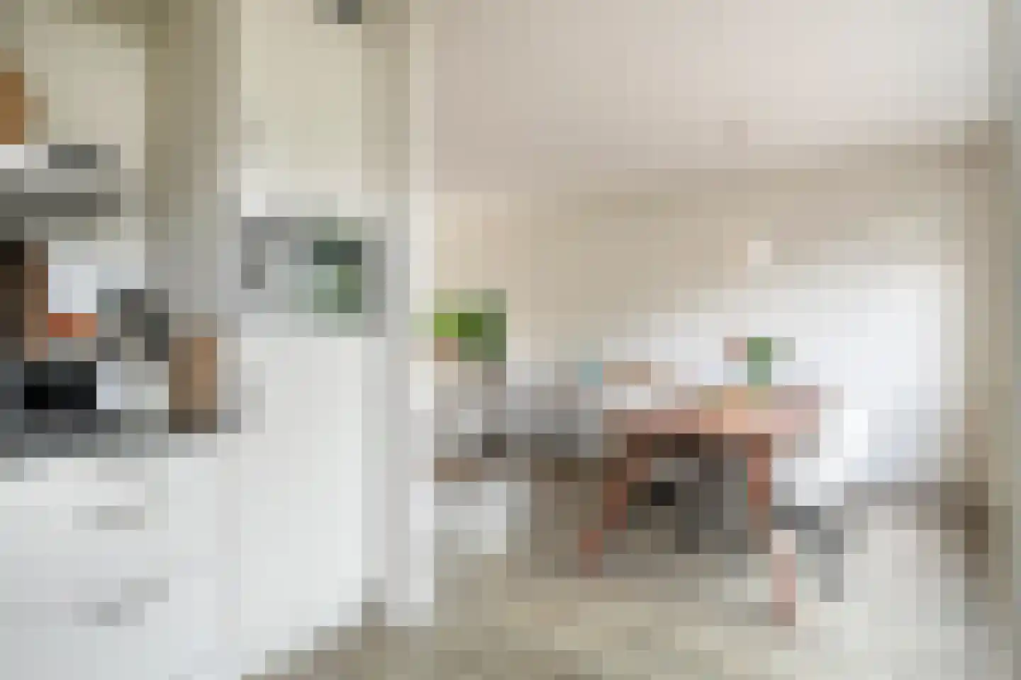 Teldersstraat 25 Kampen thumbnail 18