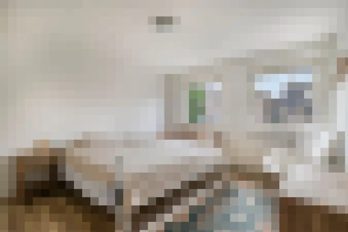 Teldersstraat 25 Kampen thumbnail 20