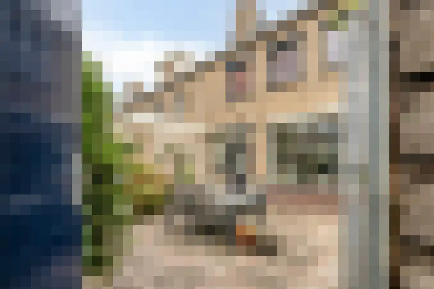 Teldersstraat 25 Kampen thumbnail 38
