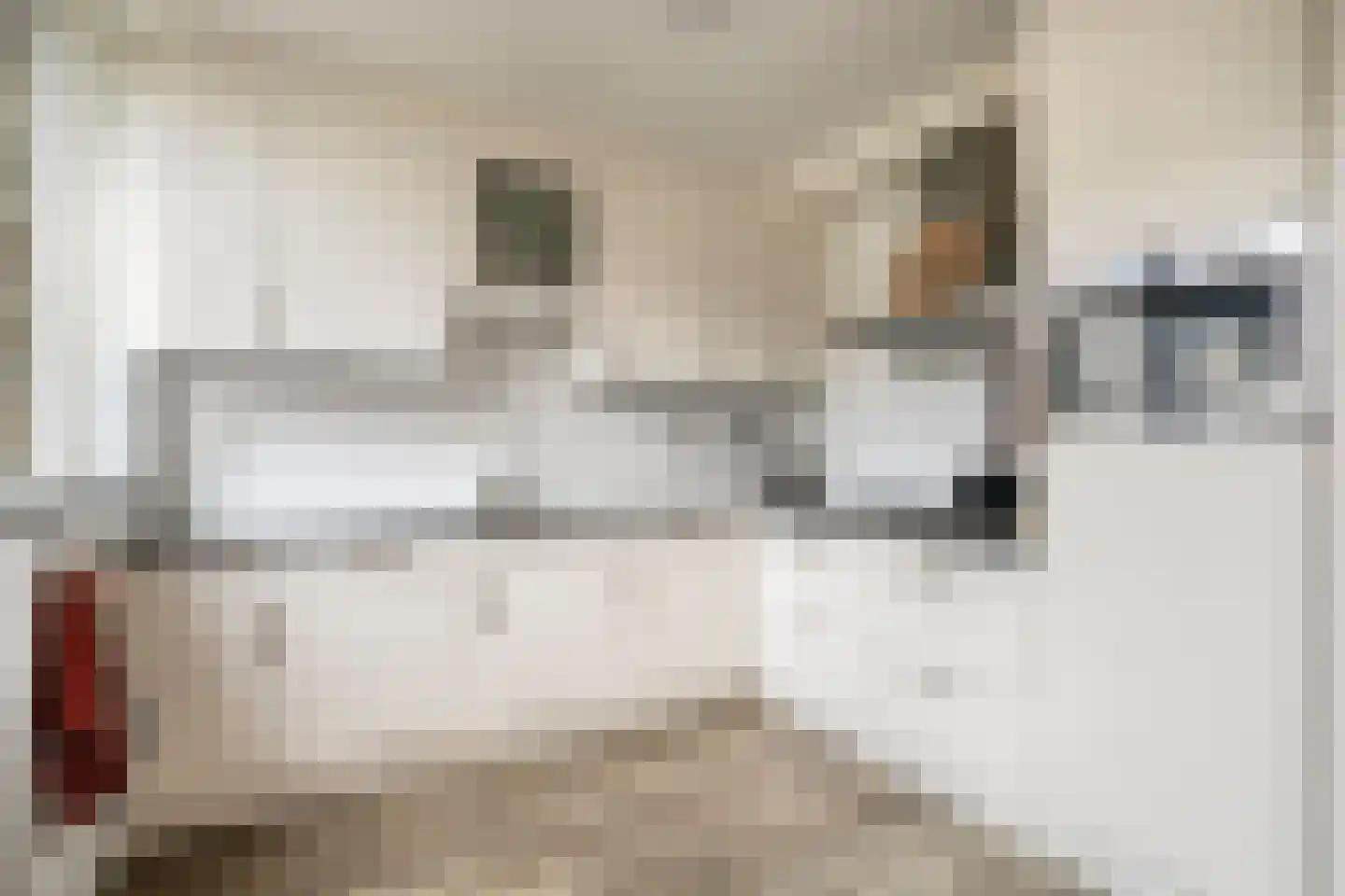 Teldersstraat 25 Kampen thumbnail 4
