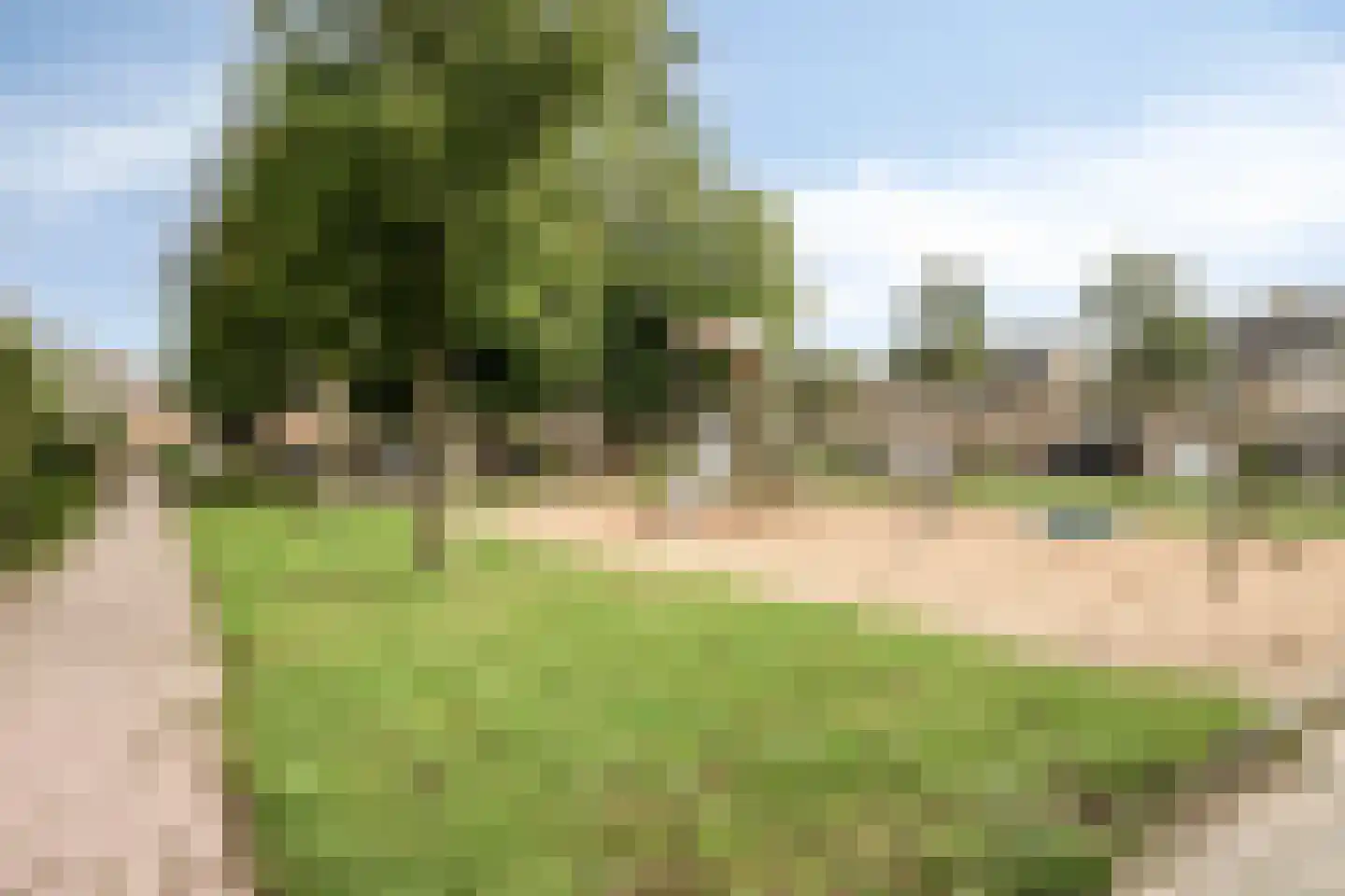 Teldersstraat 25 Kampen thumbnail 45