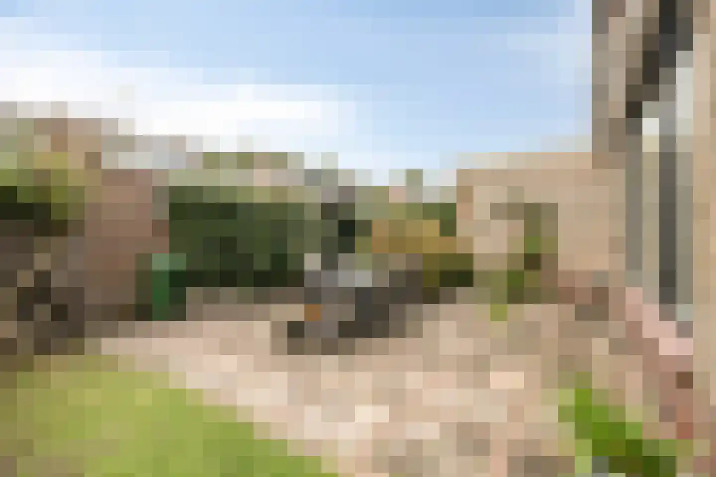Teldersstraat 25 Kampen thumbnail 6