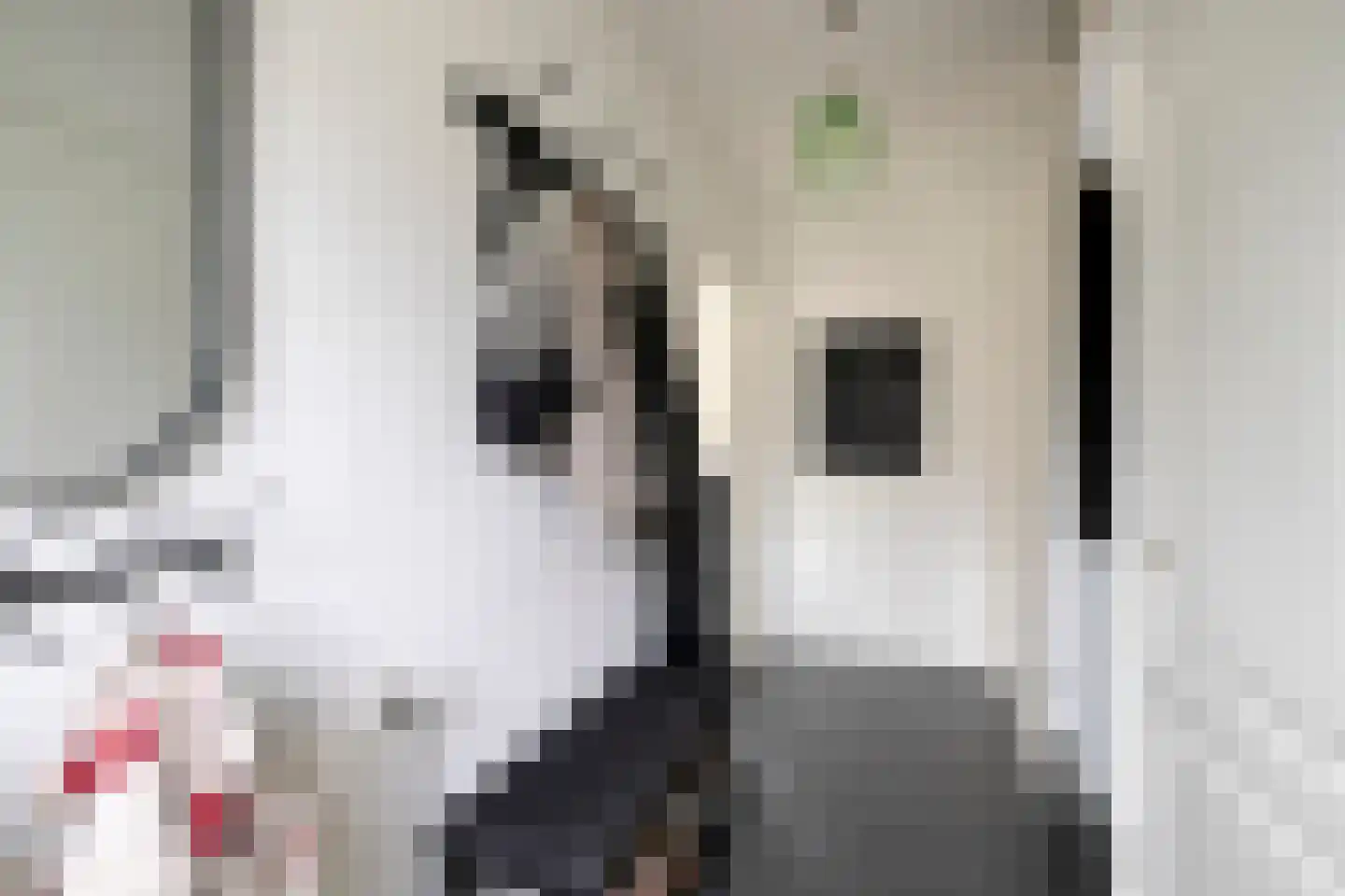 Teldersstraat 25 Kampen thumbnail 7