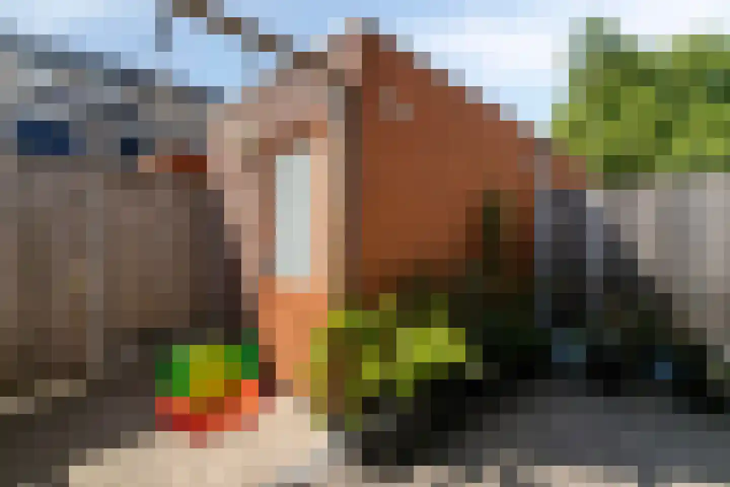 Teldersstraat 6 Gouda thumbnail 14