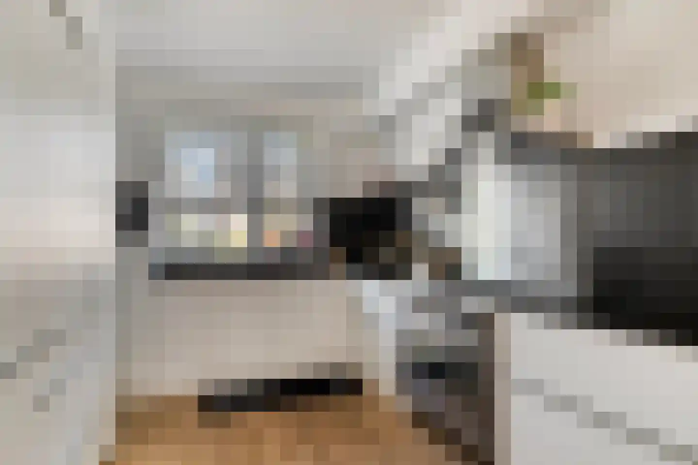 Teldersstraat 6 Gouda thumbnail 5