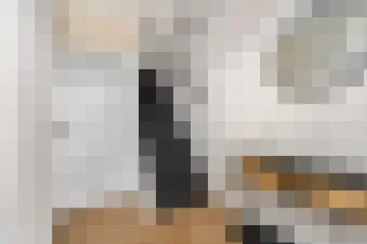 Teldersweg 123 Rhenen thumbnail 11