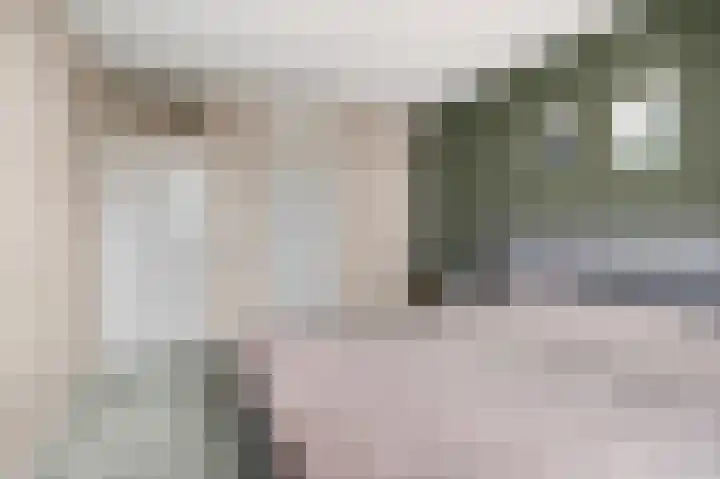 Teldersweg 123 Rhenen thumbnail 13